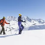 Stelzis Wald am Arlberg