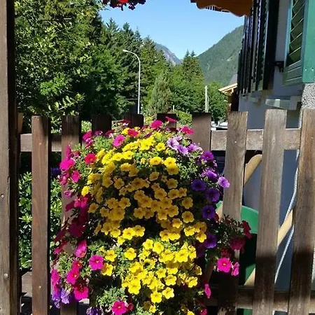 Stelzis Wald am Arlberg
